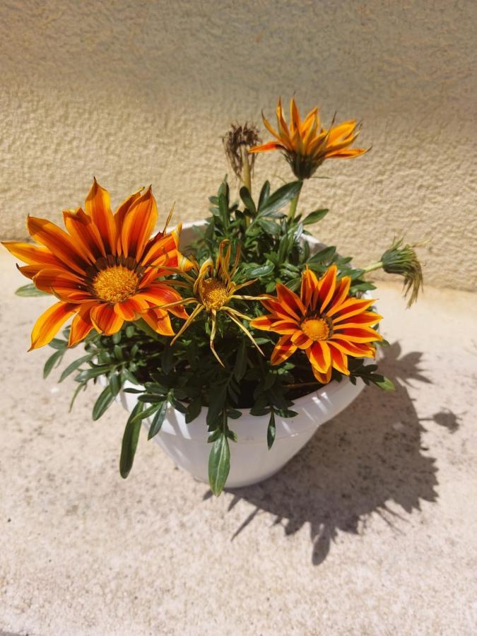 Star - Free Private Parking Apartament *